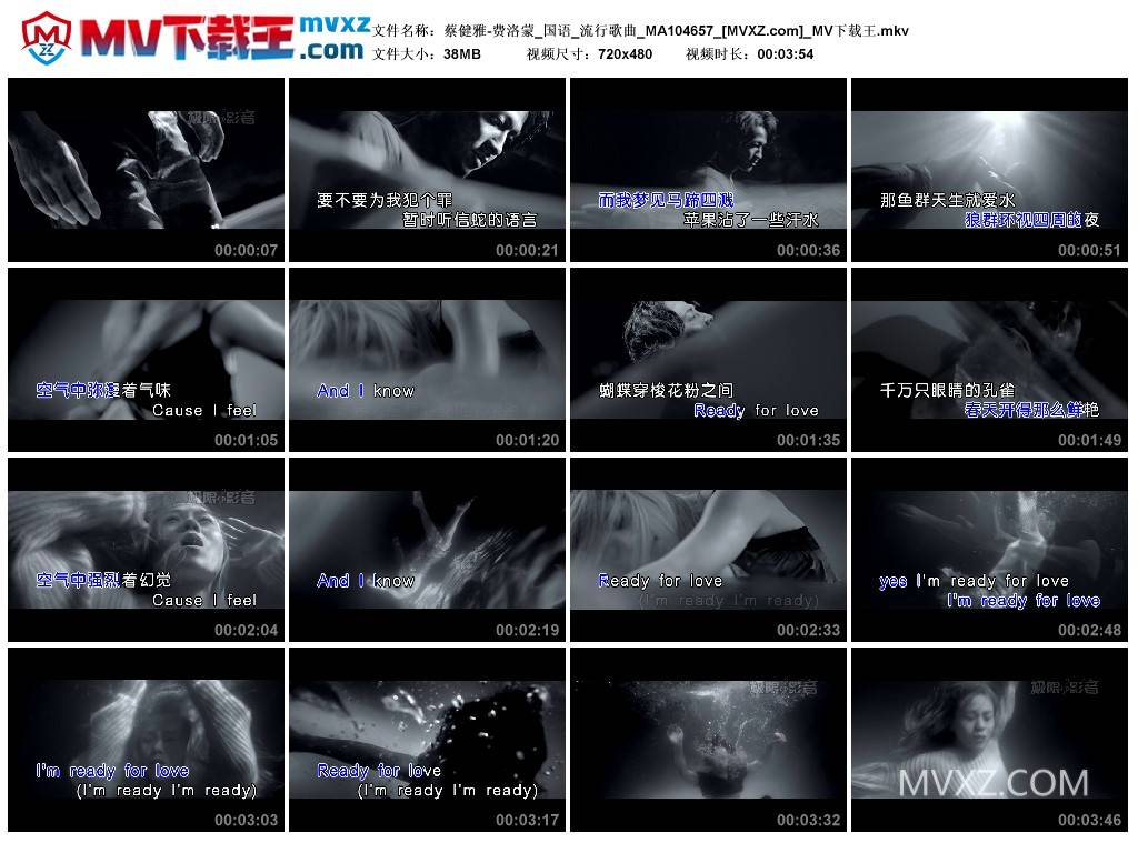 蔡健雅-费洛蒙_国语_流行歌曲_MA104657